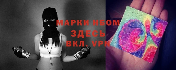 стафф Бородино