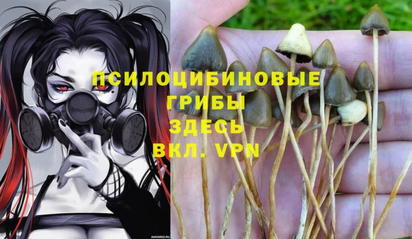 стафф Бородино