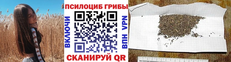 Псилоцибиновые грибы прущие грибы  hydra как зайти  Гулькевичи 